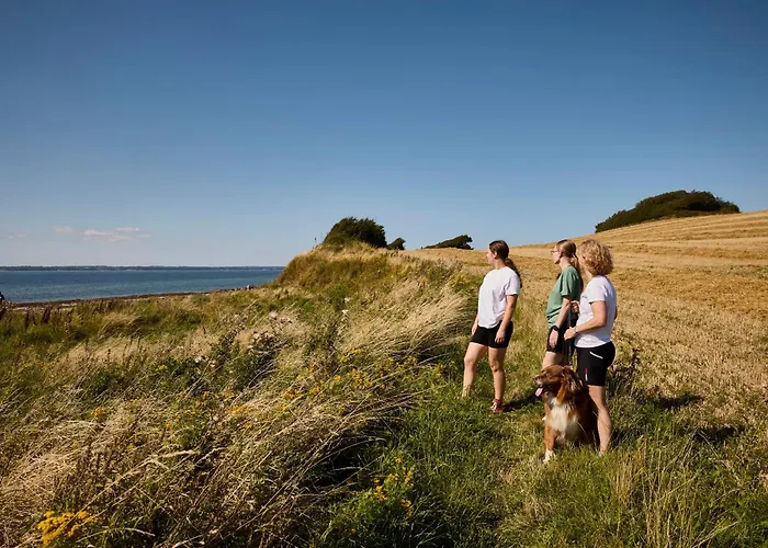 Campeggio Langeland 4*